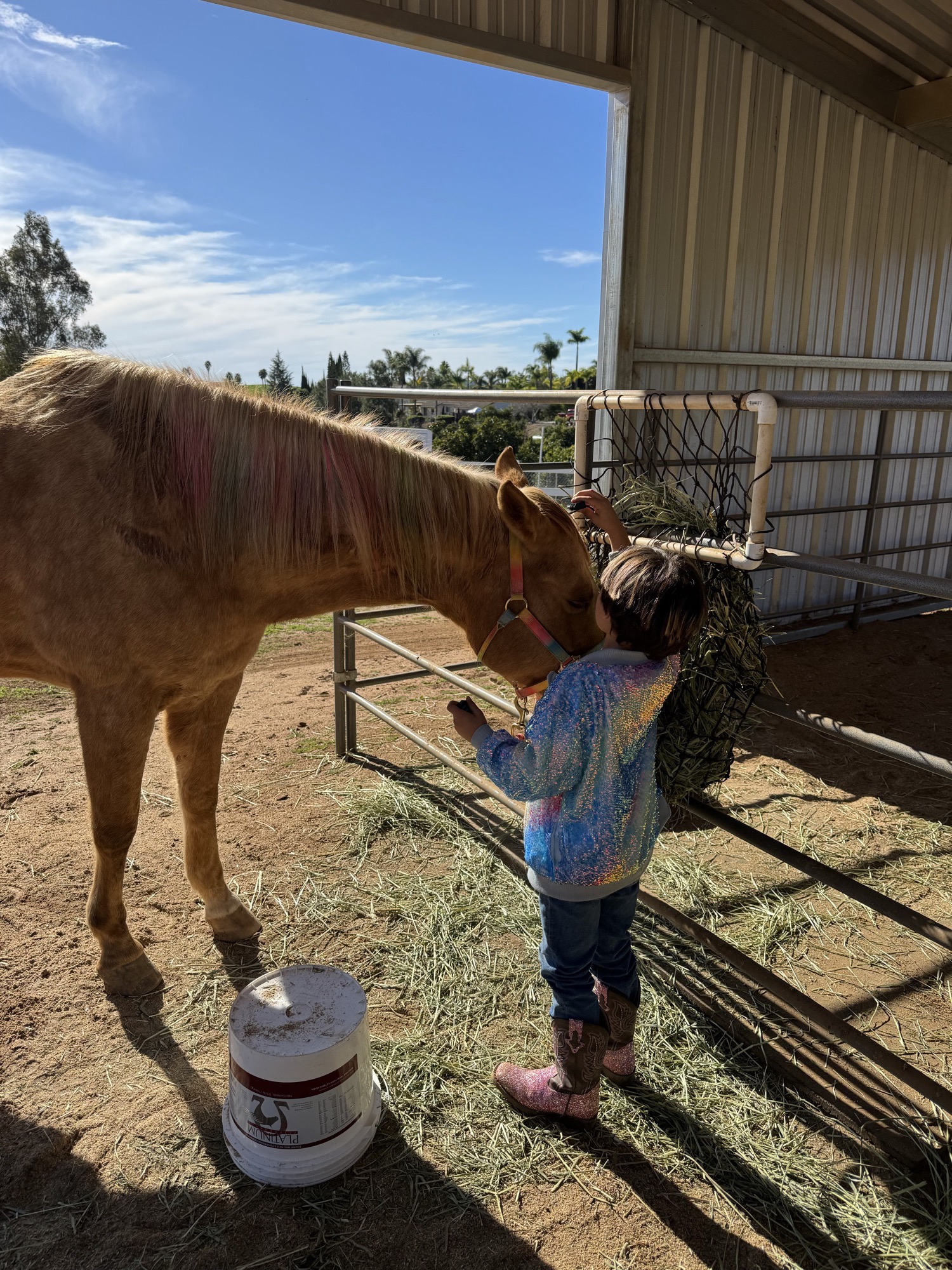 A little girl in a sparkly jacket and pink cowboy boots reaches up to pet a palomino horse by the hay feeder