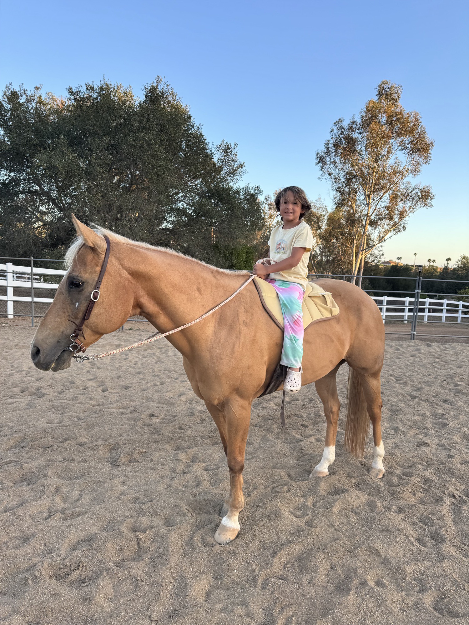 A girl in tie-dye pants rides a palomino horse on a tan saddle pad in the arena at dusk